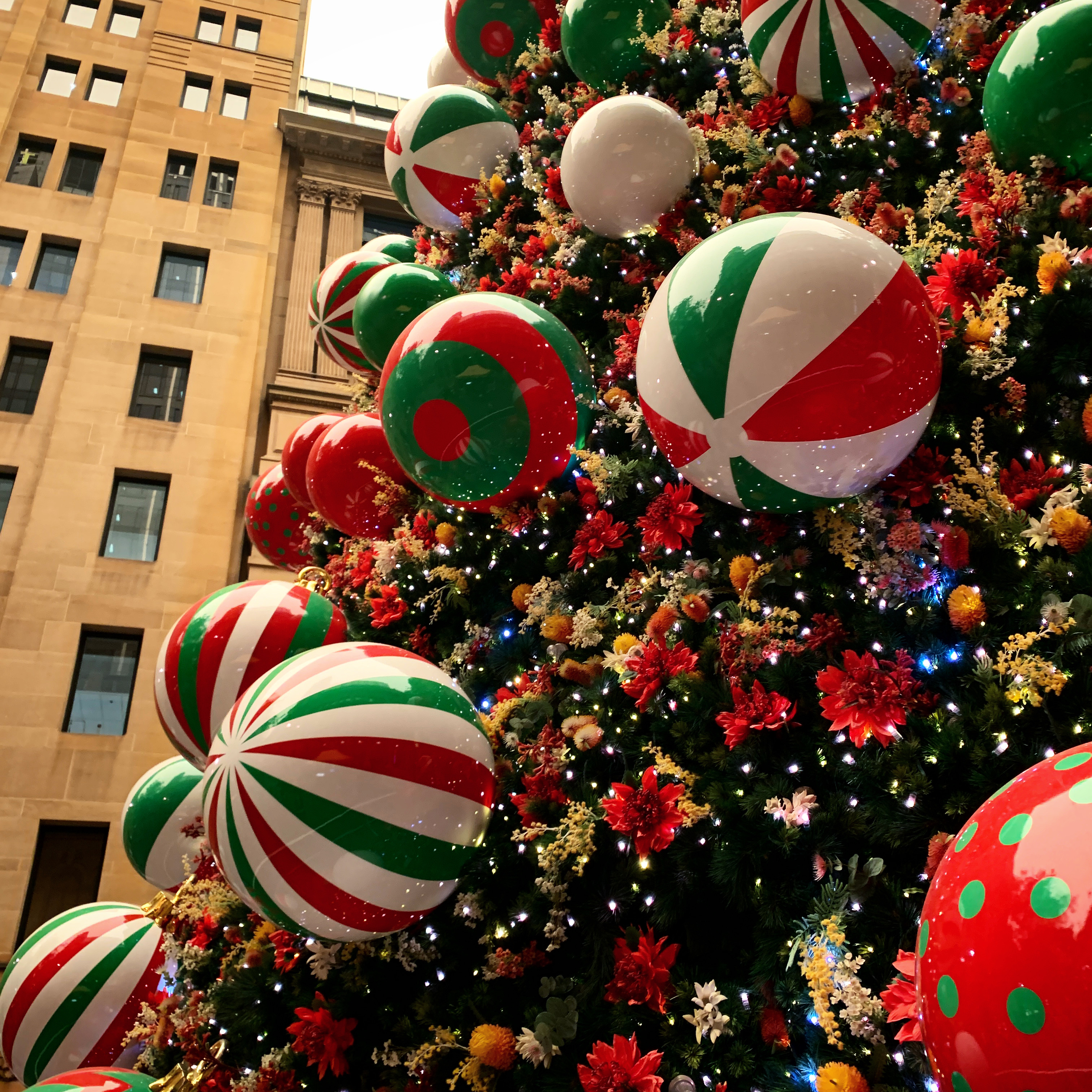 Sydney Christmas tree