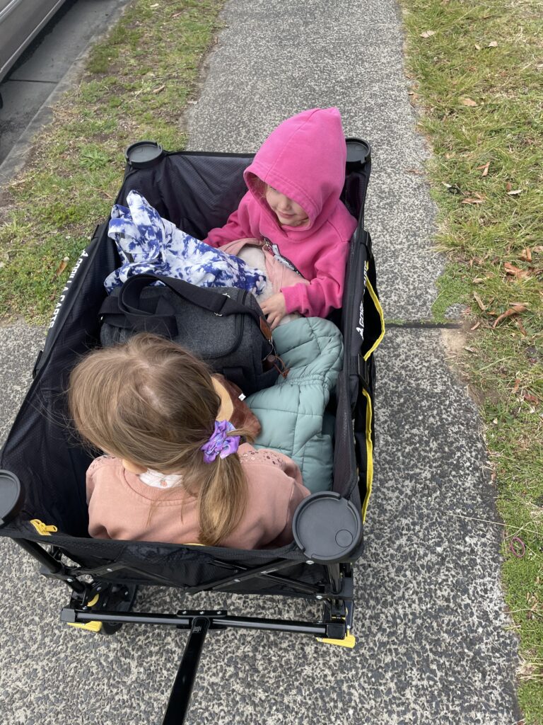 Kids in cart