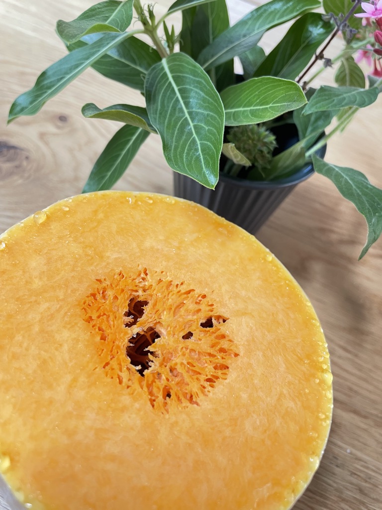 Half a butternut squash in front of vase of flowers