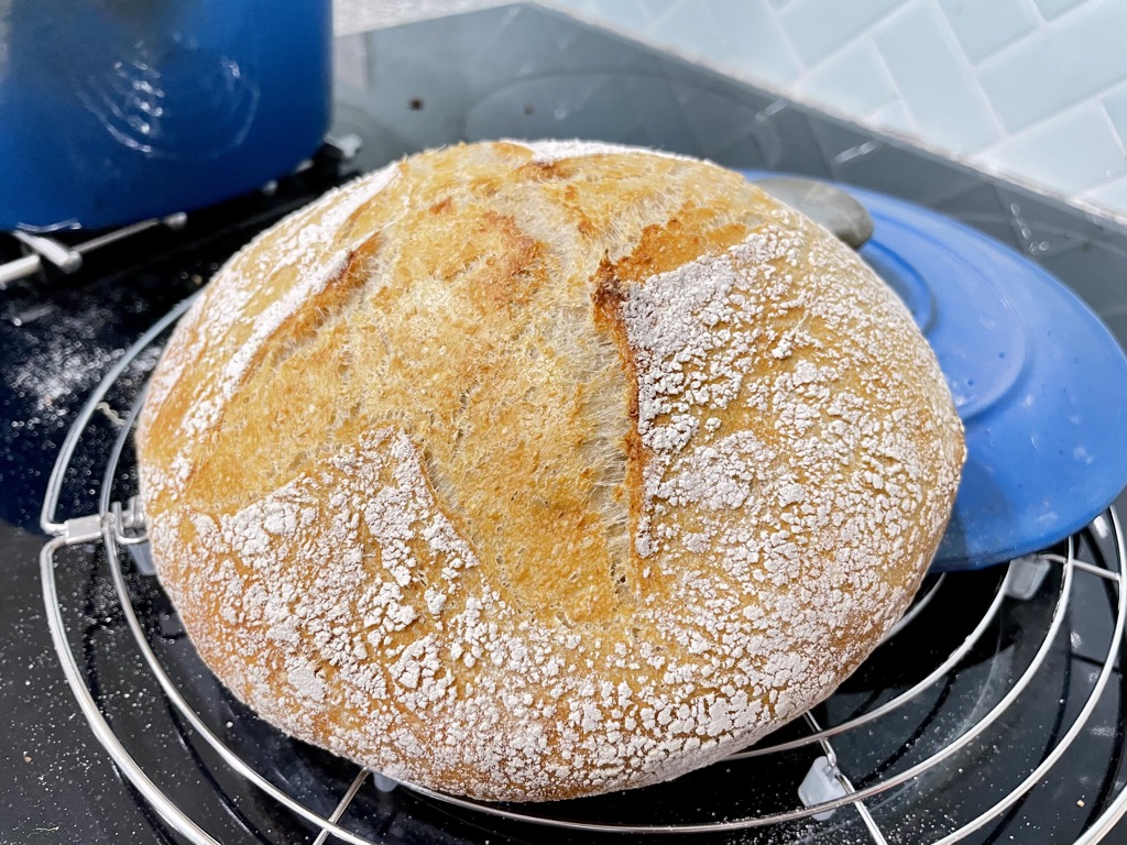 Crusty sourdough loaf on cooling rack next to blue dutch oven