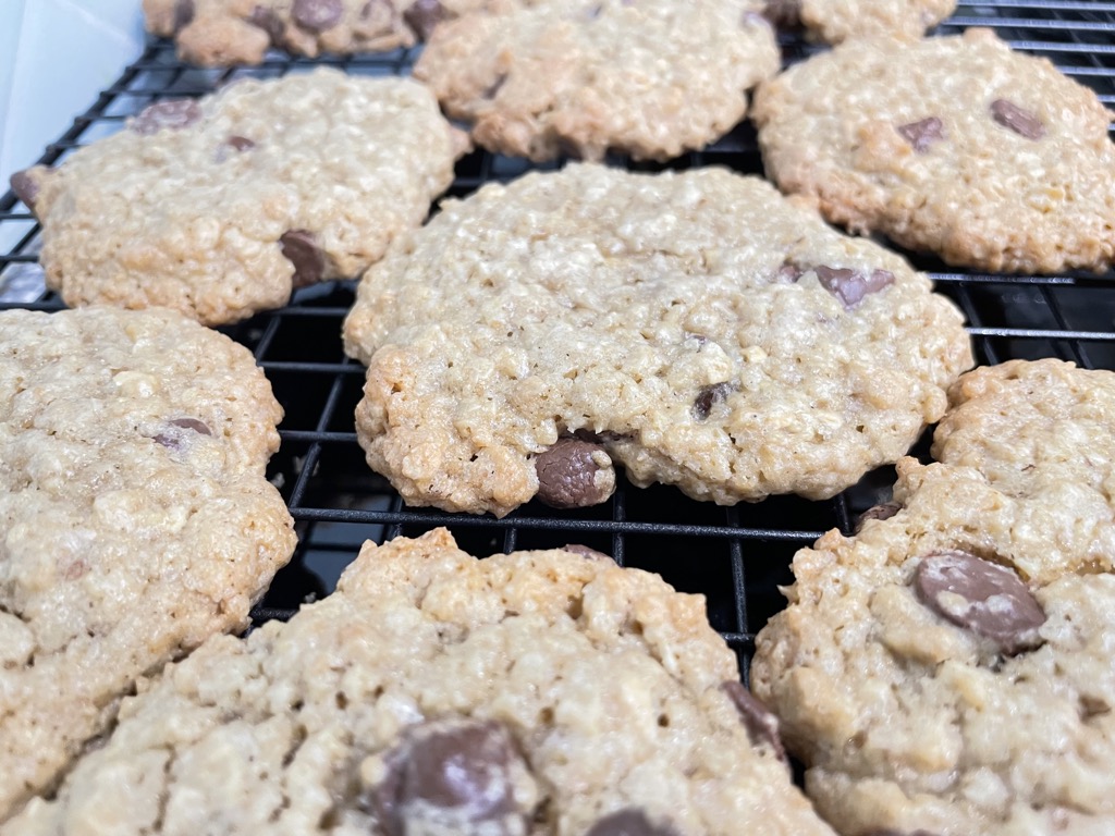 Rows of chocolate chip cookies