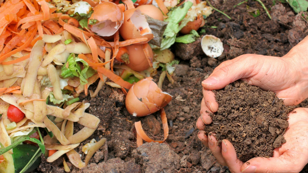 Hands holding compost