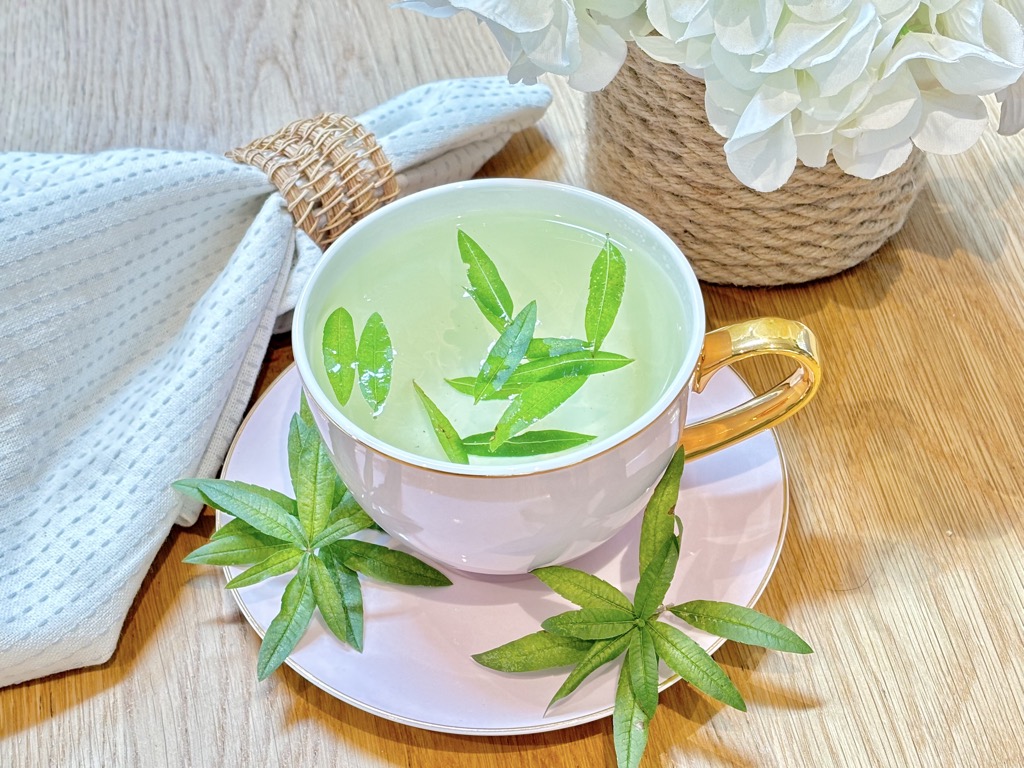 Cup of lemon verbena tea with leaves floating on top and placed on saucer