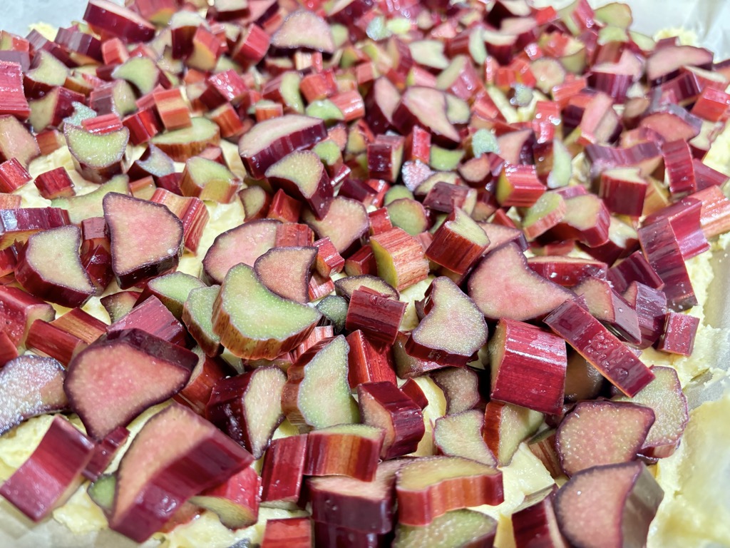 Pieces of fresh rhubarb layered on dough