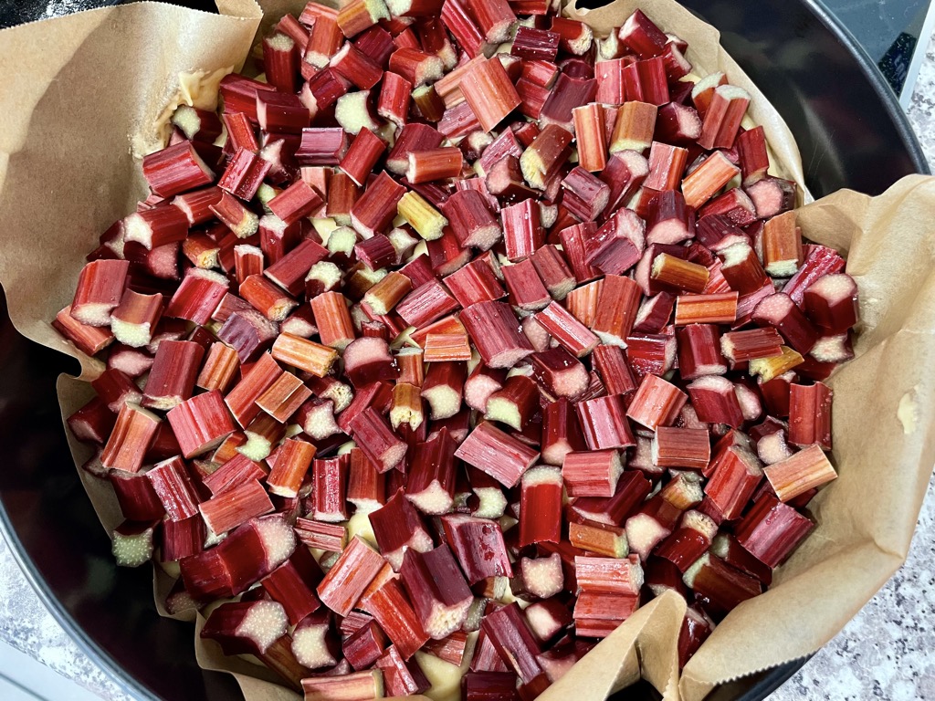 Round baking tray lined with parchment paper, filled with rhubarb pieces over dough