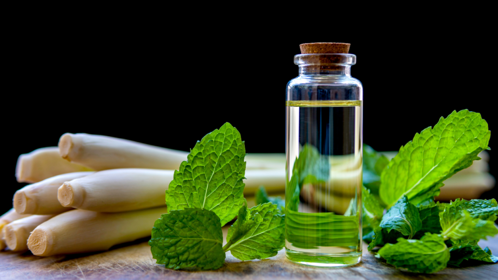 small bottle of essential oil surrounded by peppermint leaves and lemongrass sticks