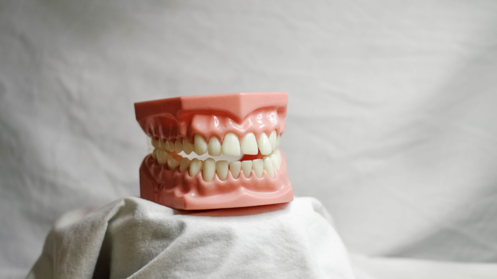 Plastic set of teeth sitting elevated on white cloth