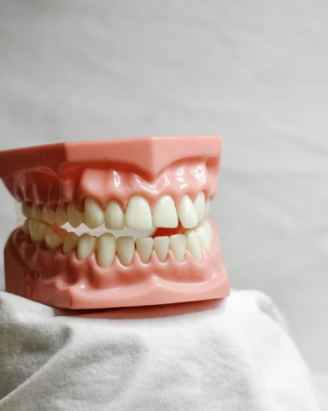 Plastic set of teeth sitting elevated on white cloth