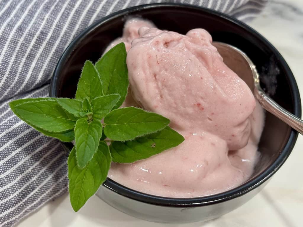 black bowl with silver spoon filled with raspberry ice cream and herb in front of striped napkin close up shot