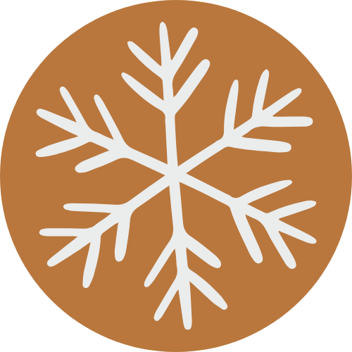 Snowflake on brown background