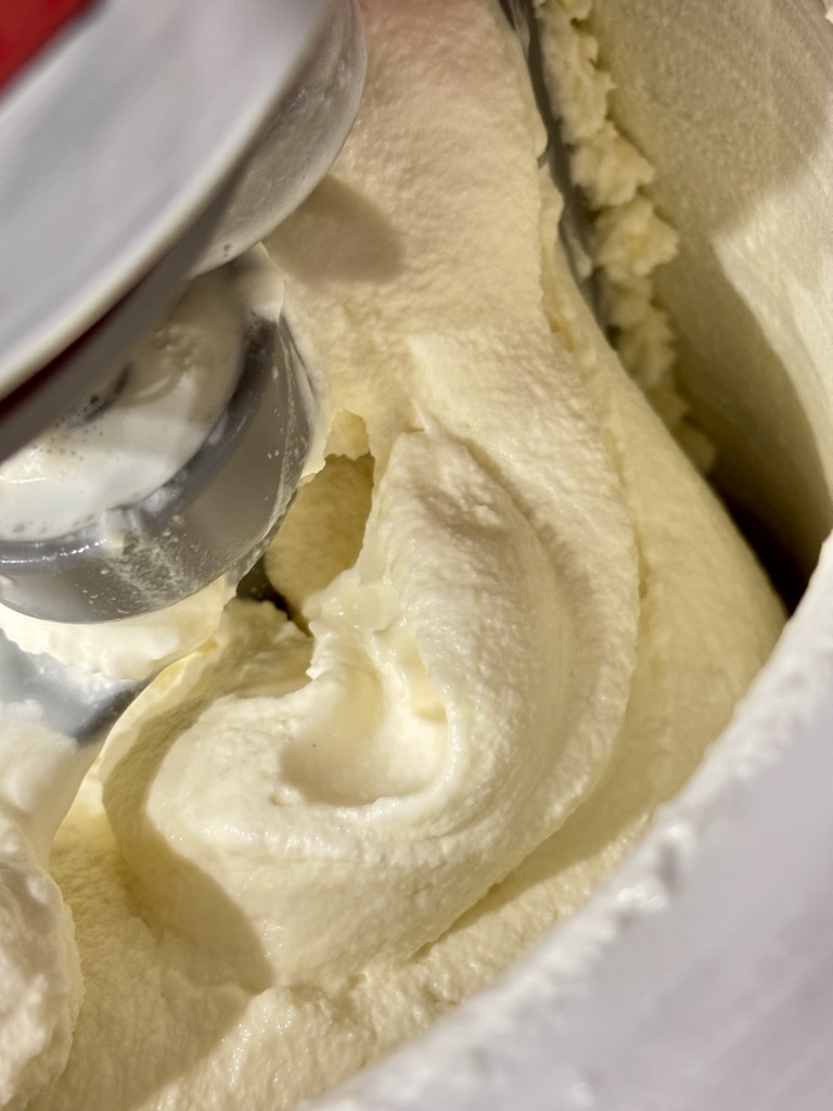 Ice cream maker filled with egg free vanilla ice cream