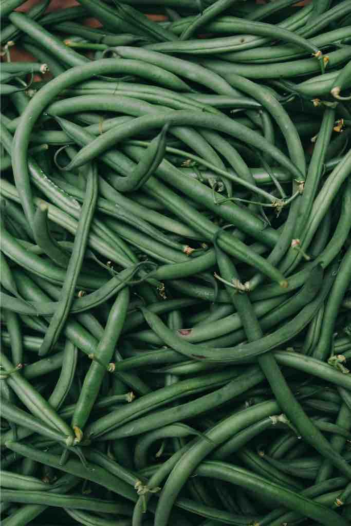 A tightly packed bunch of fresh, raw green beans in a rich green hue, showing natural curves and textures in a rustic close-up shot that screams farm-to-table goodness.