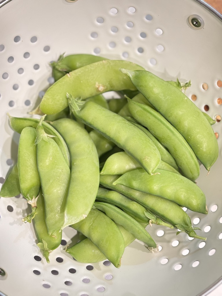 A close-up of raw sugar snap peas in a white colander, freshly picked and ready to prep. Step one in how to steam sugar snap peas perfectly.
