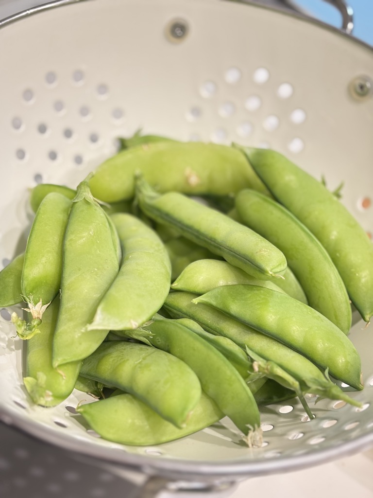 Bright green sugar snap peas rinsed and prepped in a colander. The first step in how to steam sugar snap peas for a healthy side dish.