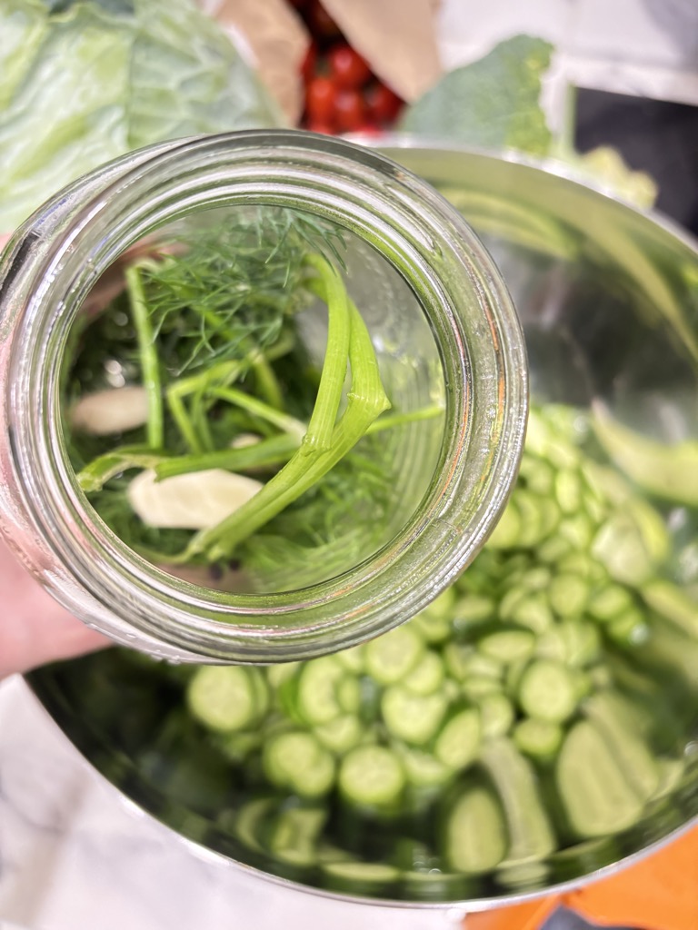 Overhead view of a clean jar filled with fresh dill sprigs and garlic cloves, ready to pack with cucumber slices for crisp homemade pickles.