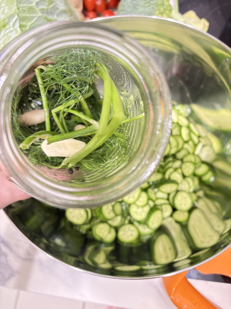 Fresh dill, garlic, and spices layered in a jar above a bowl of sliced cucumbers, the perfect setup for an easy dill pickles recipe without canning.