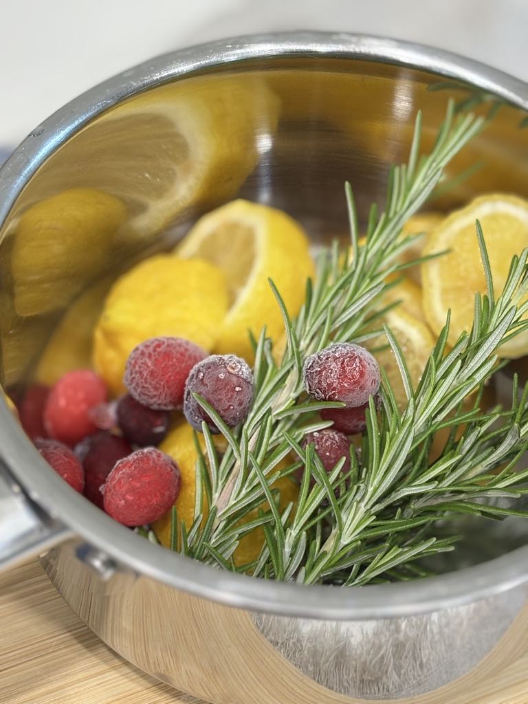 The Best Winter Simmer Pot Ideas (Evergreen Intro)