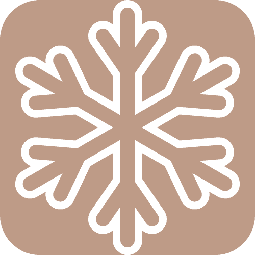 Freezer Friendly Icon